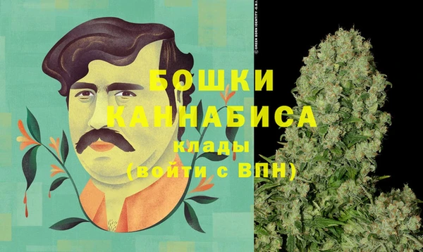 spice Богданович