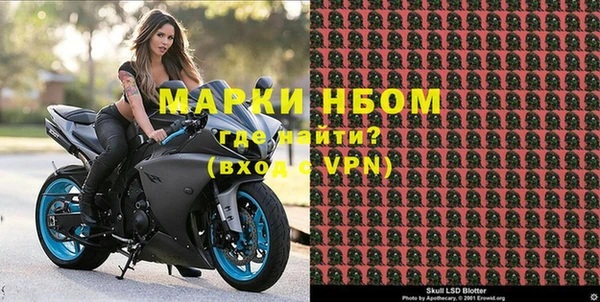 spice Богданович