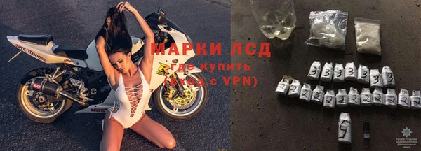 spice Богданович