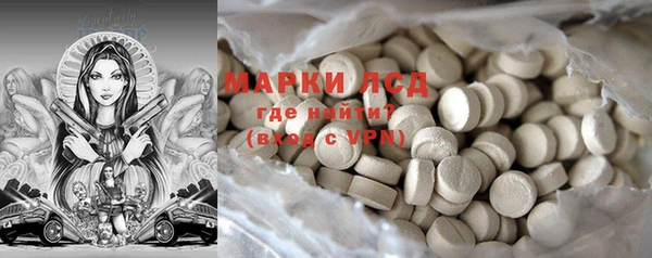 spice Богданович