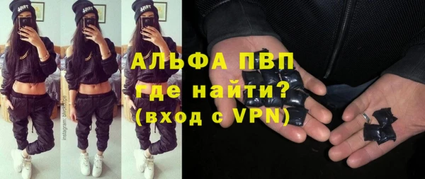 spice Богданович