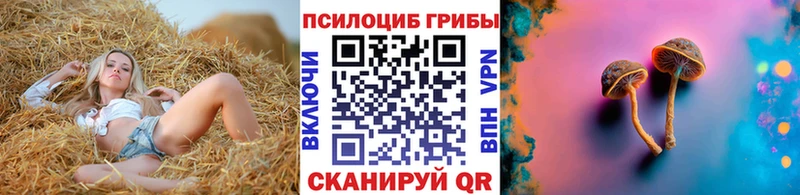 Псилоцибиновые грибы Cubensis  Наро-Фоминск 